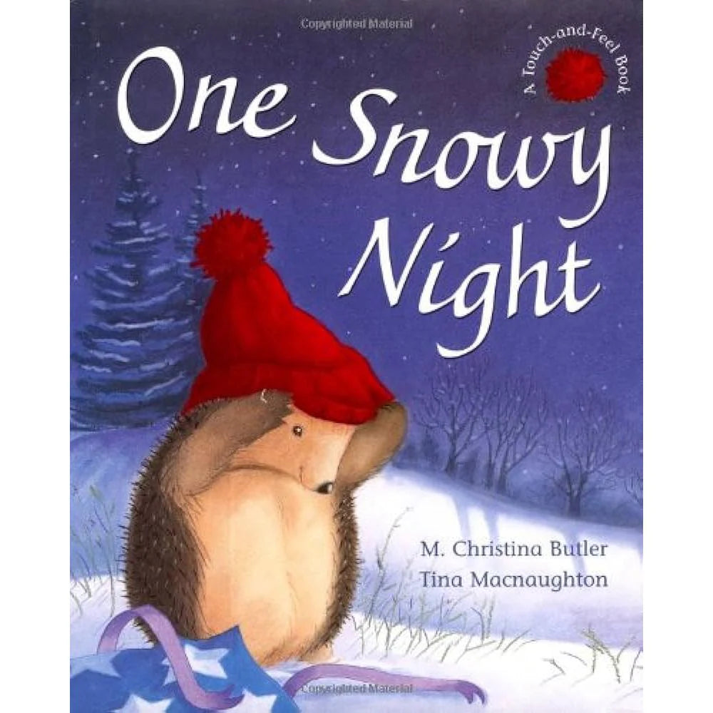 One Snowy Night